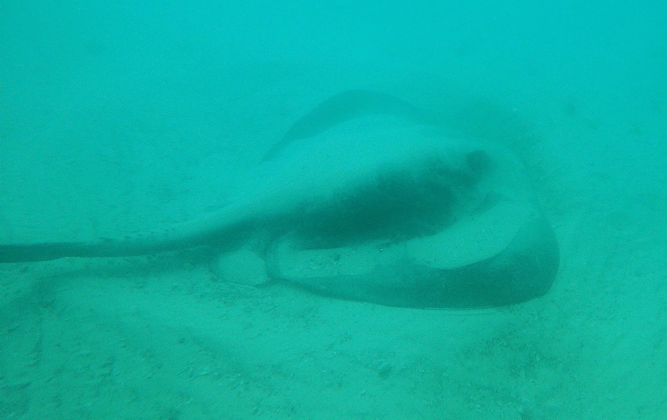 t/sdcard/DCIM/100GOPRO/GOPR8934